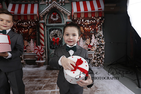 2023 Holiday Mini Session