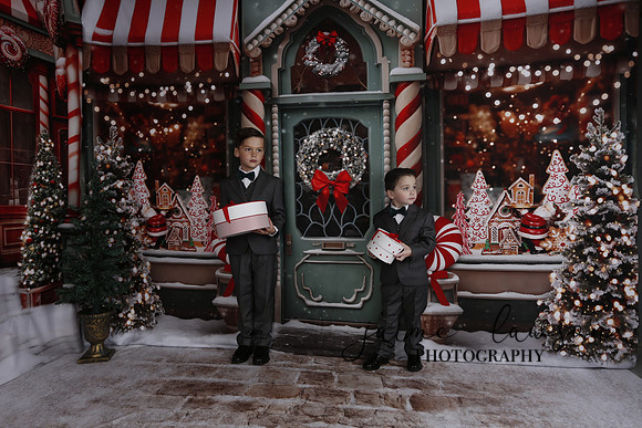 2023 Holiday Mini Session