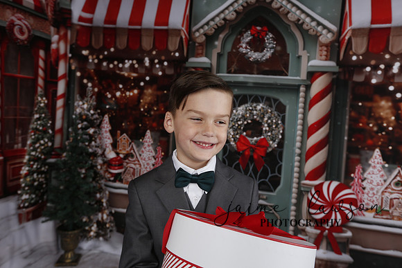 2023 Holiday Mini Session