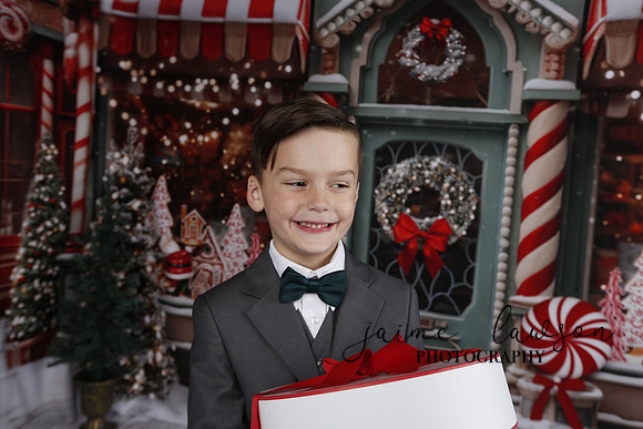 2023 Holiday Mini Session