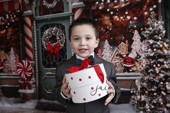 2023 Holiday Mini Session