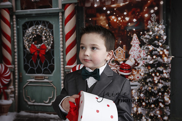 2023 Holiday Mini Session
