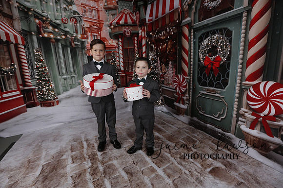 2023 Holiday Mini Session