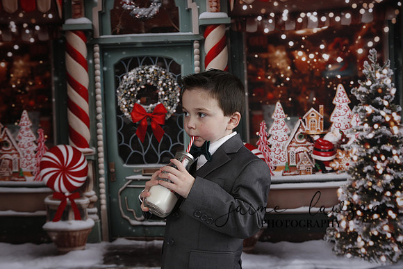 2023 Holiday Mini Session