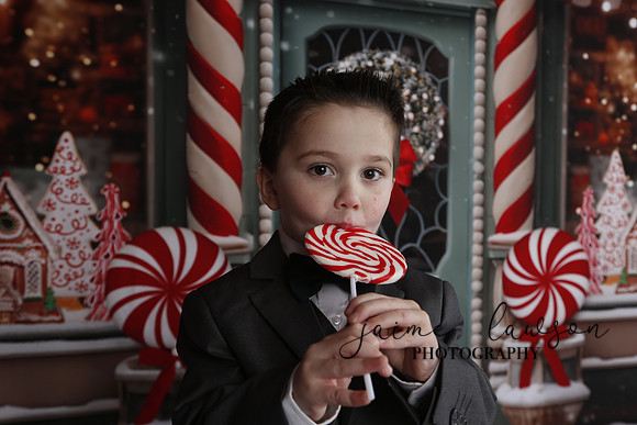 2023 Holiday Mini Session