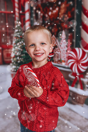 2023 Holiday Mini Session