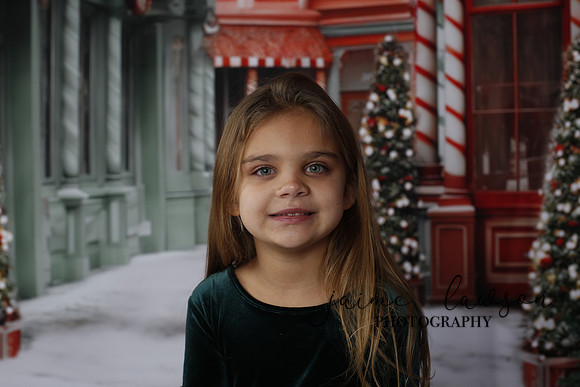 2023 Holiday Mini Session