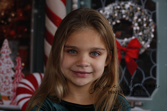 2023 Holiday Mini Session