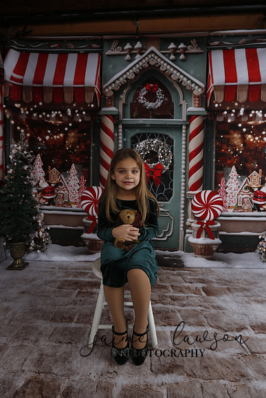 2023 Holiday Mini Session