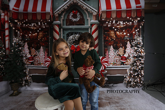 2023 Holiday Mini Session