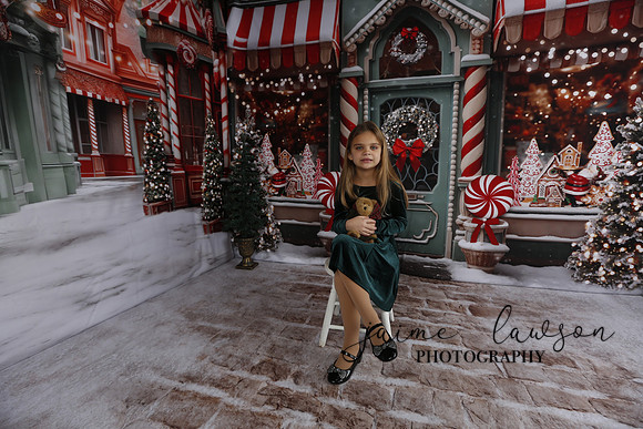2023 Holiday Mini Session