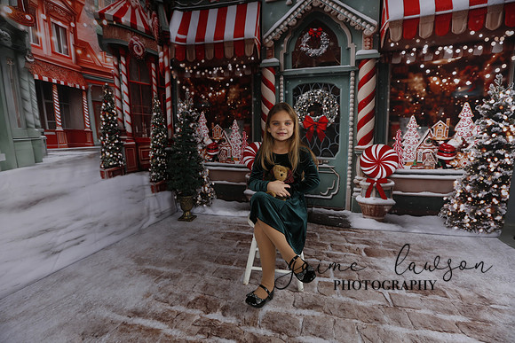 2023 Holiday Mini Session