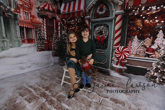 2023 Holiday Mini Session