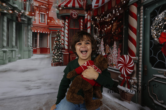 2023 Holiday Mini Session