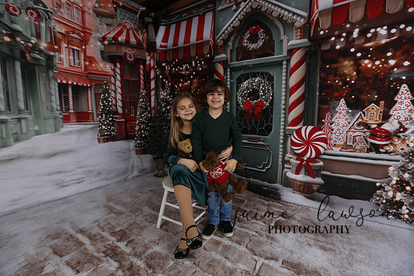 2023 Holiday Mini Session