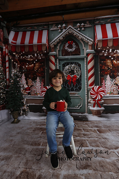 2023 Holiday Mini Session