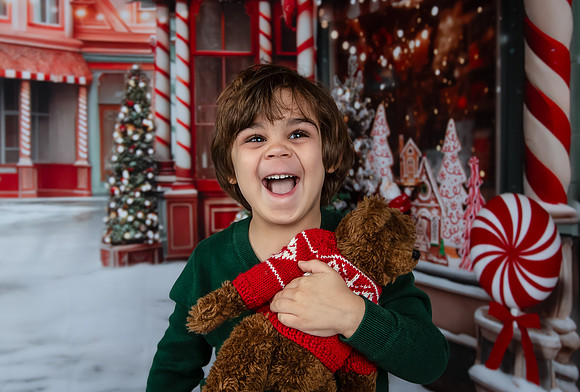 2023 Holiday Mini Session