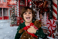 2023 Holiday Mini Session
