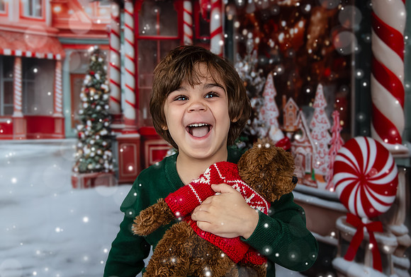 2023 Holiday Mini Session
