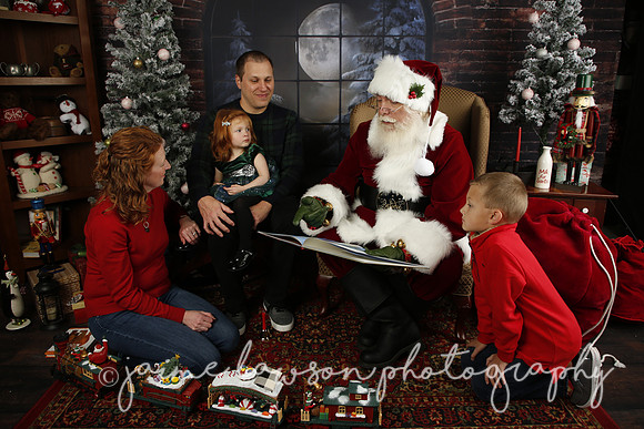 2021 Holiday Mini Session