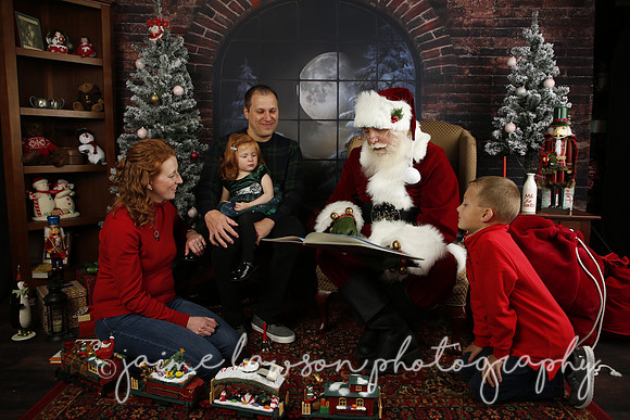 2021 Holiday Mini Session