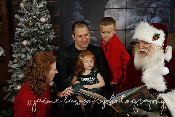 2021 Holiday Mini Session
