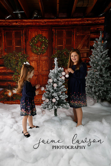 2019 Holiday Mini Session - Necci
