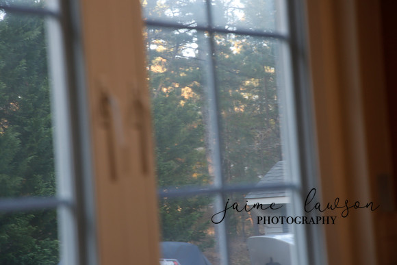 2019 Holiday Mini Session - Necci