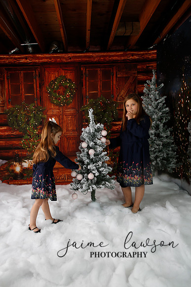 2019 Holiday Mini Session - Necci