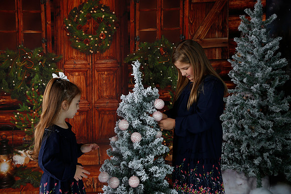 2019 Holiday Mini Session - Necci