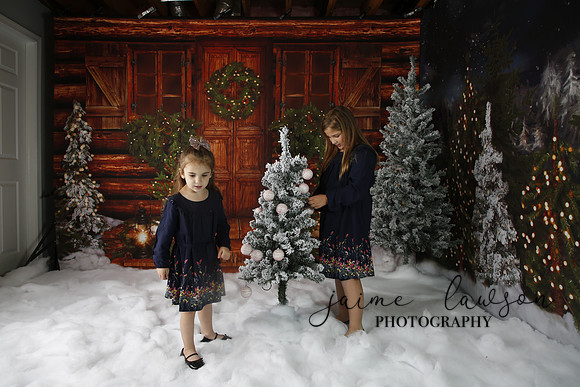 2019 Holiday Mini Session - Necci