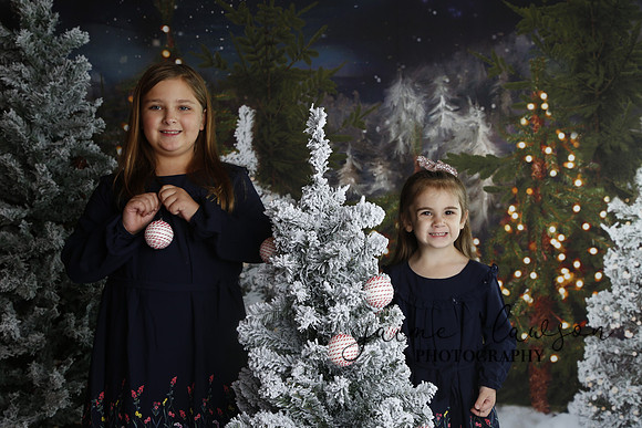 2019 Holiday Mini Session - Necci