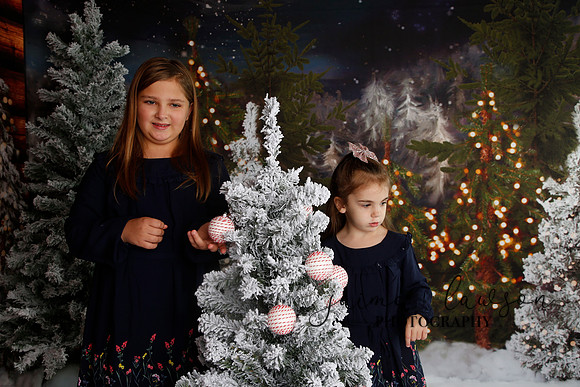 2019 Holiday Mini Session - Necci