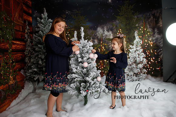 2019 Holiday Mini Session - Necci