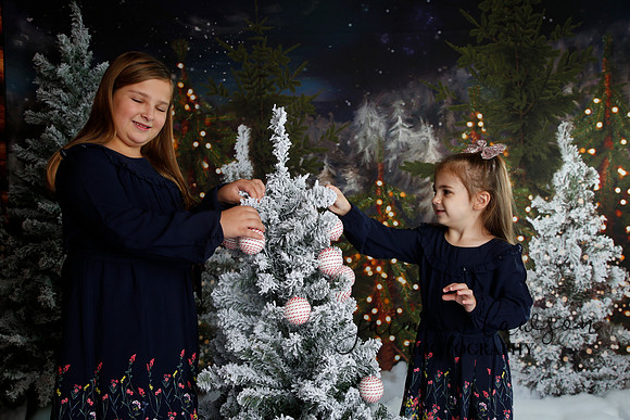 2019 Holiday Mini Session - Necci