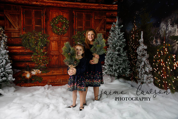 2019 Holiday Mini Session - Necci