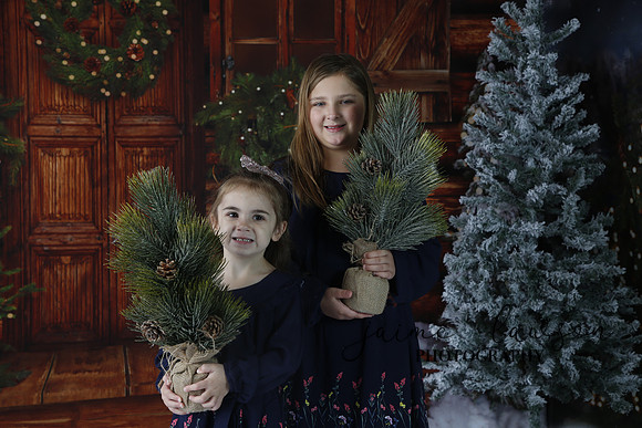 2019 Holiday Mini Session - Necci