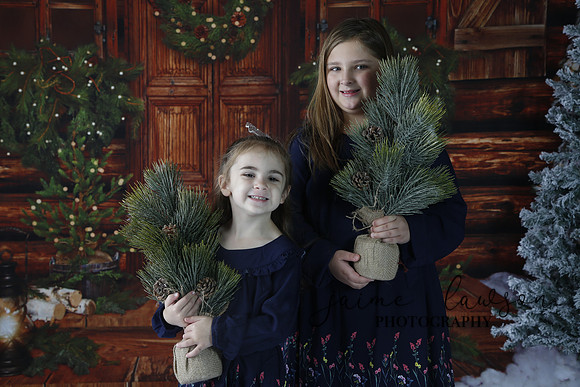 2019 Holiday Mini Session - Necci