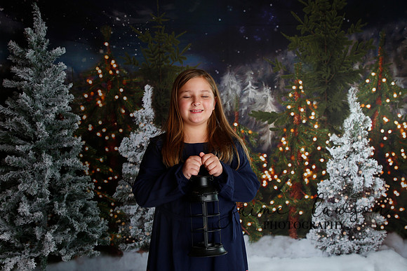 2019 Holiday Mini Session - Necci