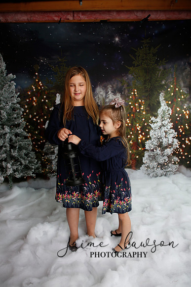 2019 Holiday Mini Session - Necci