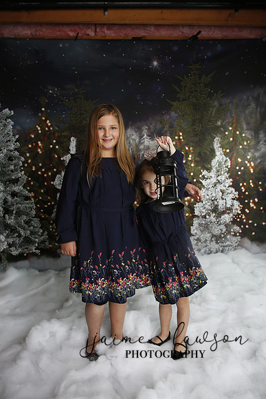 2019 Holiday Mini Session - Necci