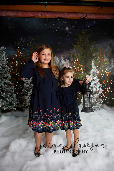 2019 Holiday Mini Session - Necci