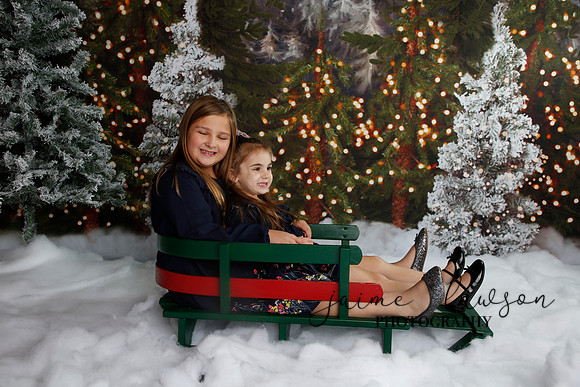 2019 Holiday Mini Session - Necci