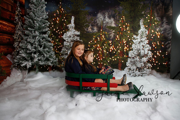 2019 Holiday Mini Session - Necci