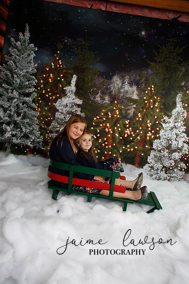 2019 Holiday Mini Session - Necci