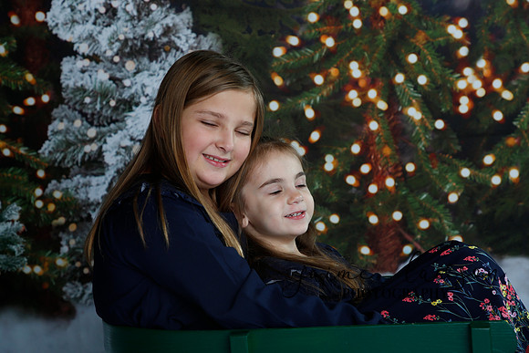 2019 Holiday Mini Session - Necci
