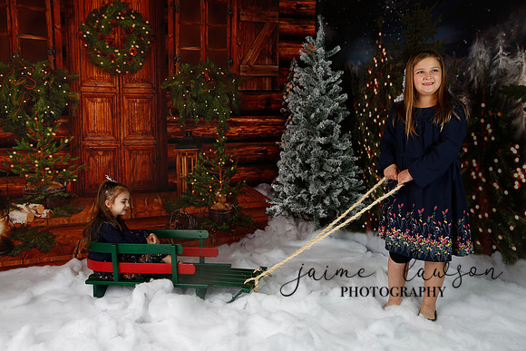 2019 Holiday Mini Session - Necci