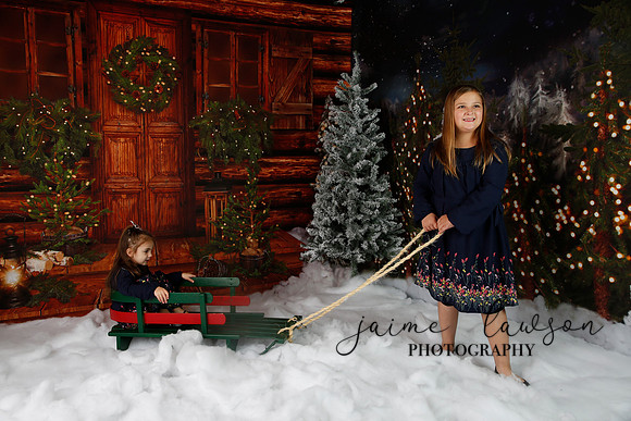 2019 Holiday Mini Session - Necci