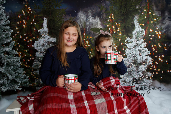 2019 Holiday Mini Session - Necci