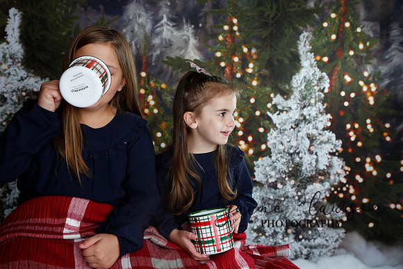 2019 Holiday Mini Session - Necci